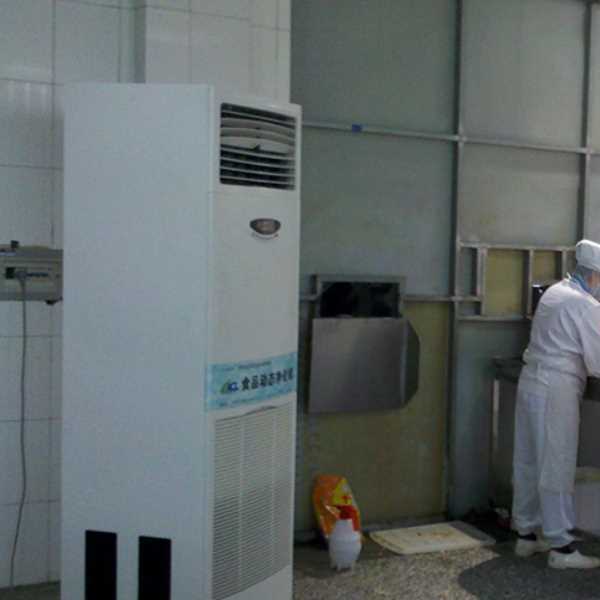 安徽食品正负离子空气杀菌器